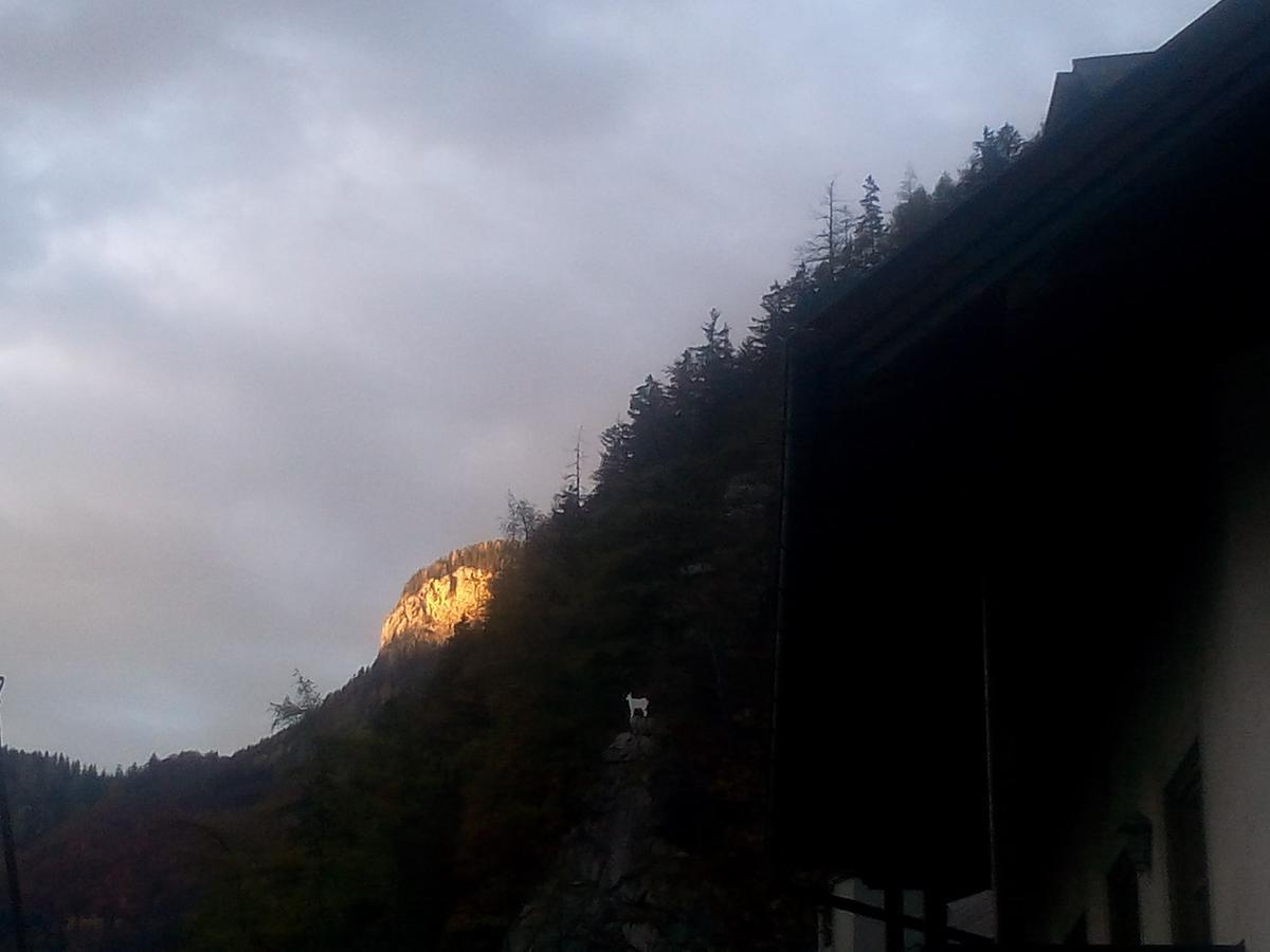 Gasthof-Pension Frohnwies Weißbach bei Lofer Exterior foto